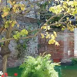 Hortus Bed & Breakfast