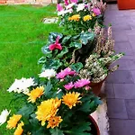 Hortus Bed & Breakfast Venetië