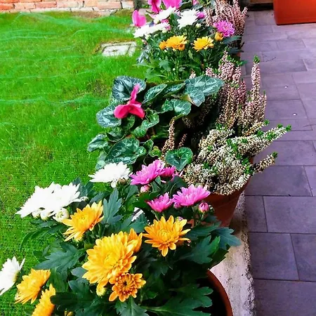 Hortus Bed & Breakfast Venetië