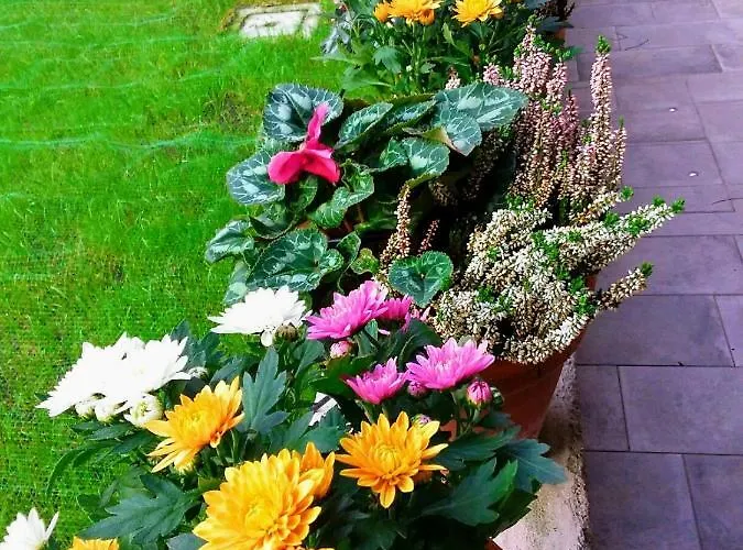 Hortus Bed & Breakfast Venezia